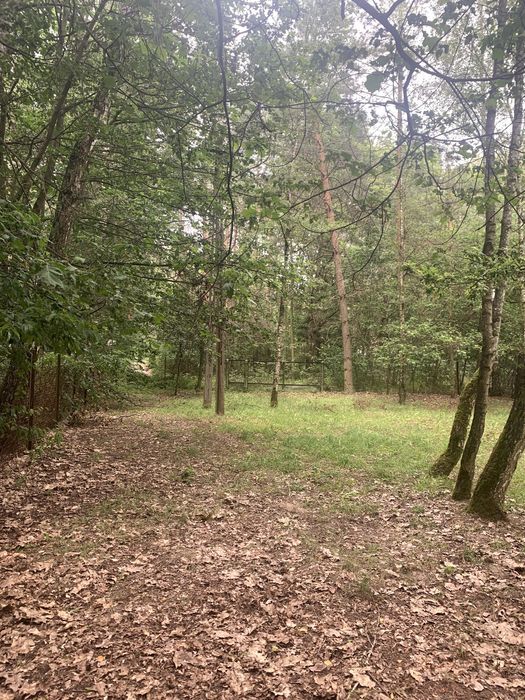 Działka budowlana Apolonia, ul. Akacjowa. Zdjęcie 7