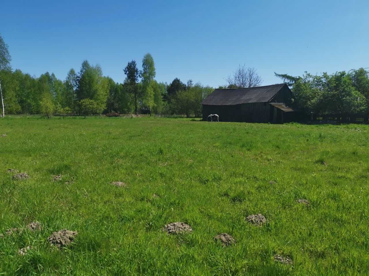 Działka rekreacyjna Wola Korybutowa Druga. Zdjęcie 6