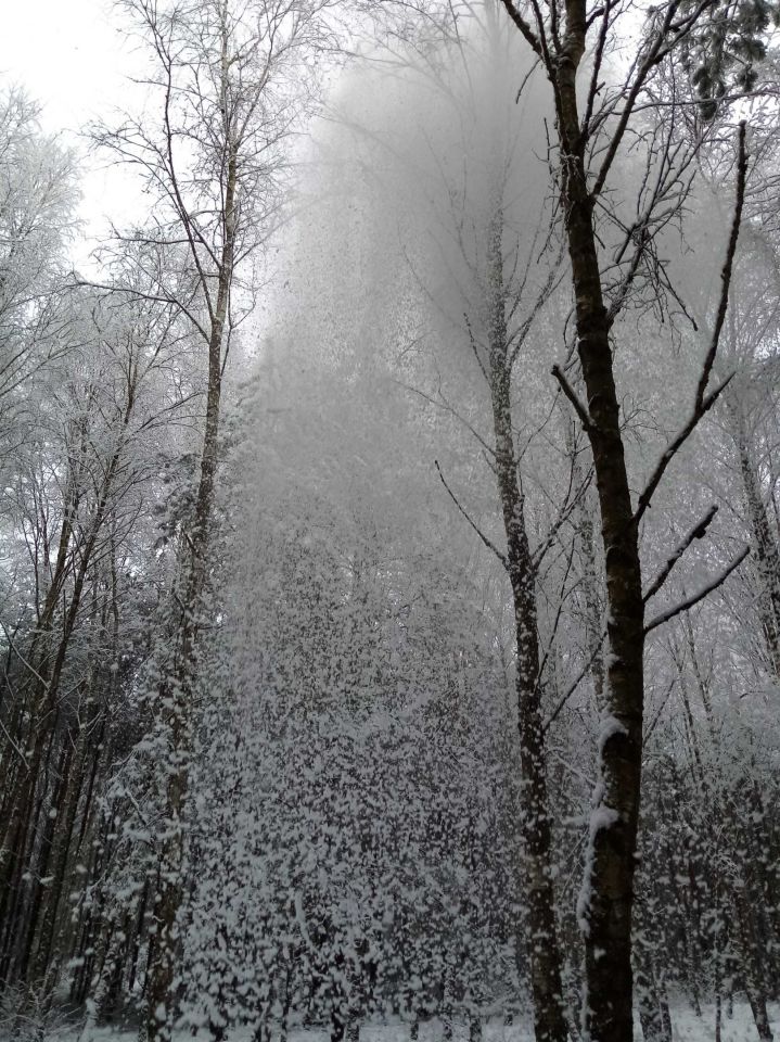 Działka rekreacyjna Świecie. Zdjęcie 7