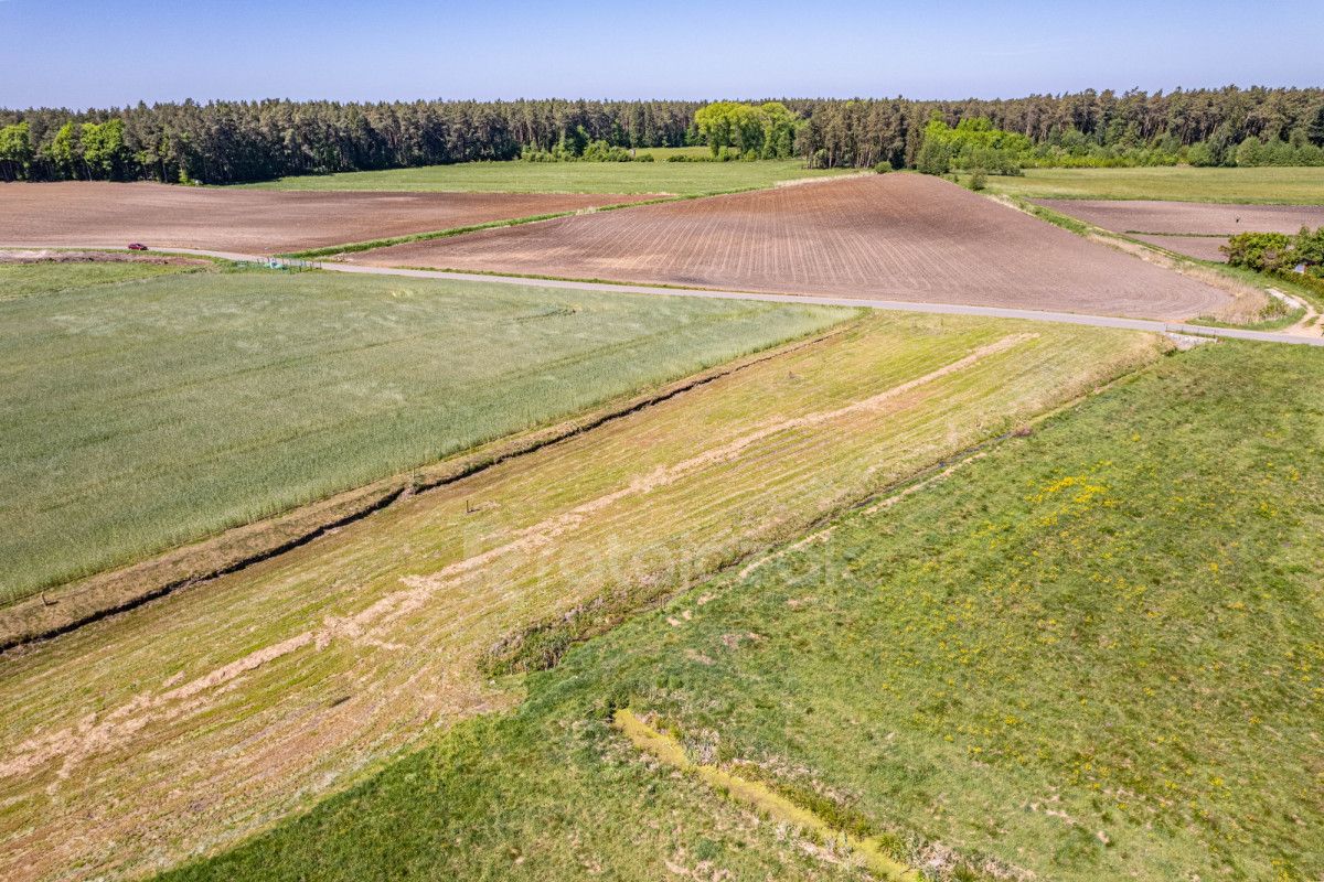 Działka inwestycyjna Parszczyce, ul. Łąkowa. Zdjęcie 7