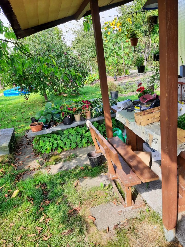 Działka rod Gliwice Stare Gliwice, ul. Kozłowska. Zdjęcie 4