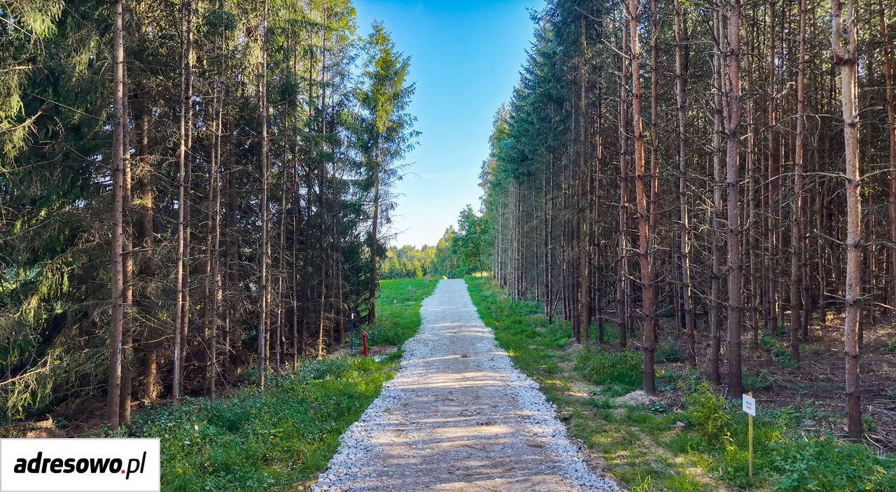 Działka budowlana Rogowo. Zdjęcie 4