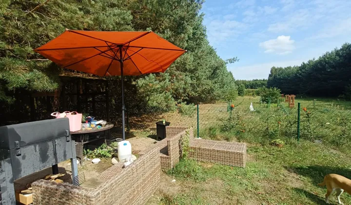 Działka rekreacyjna Dąbrowa-Kolonia