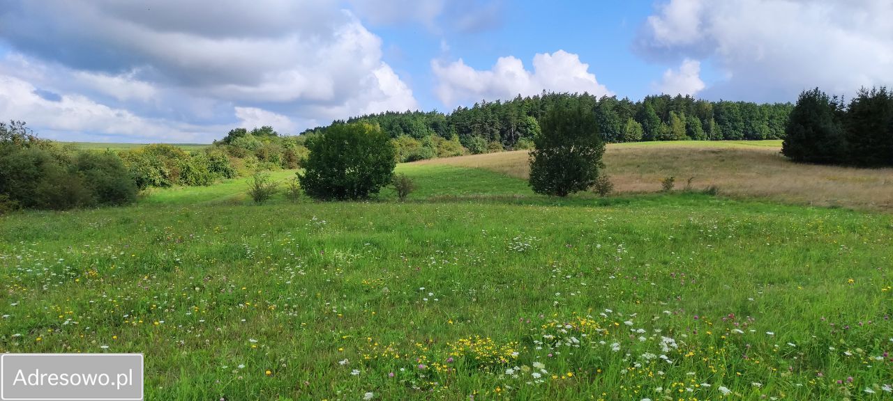 Działka rolna Tłokowo. Zdjęcie 10