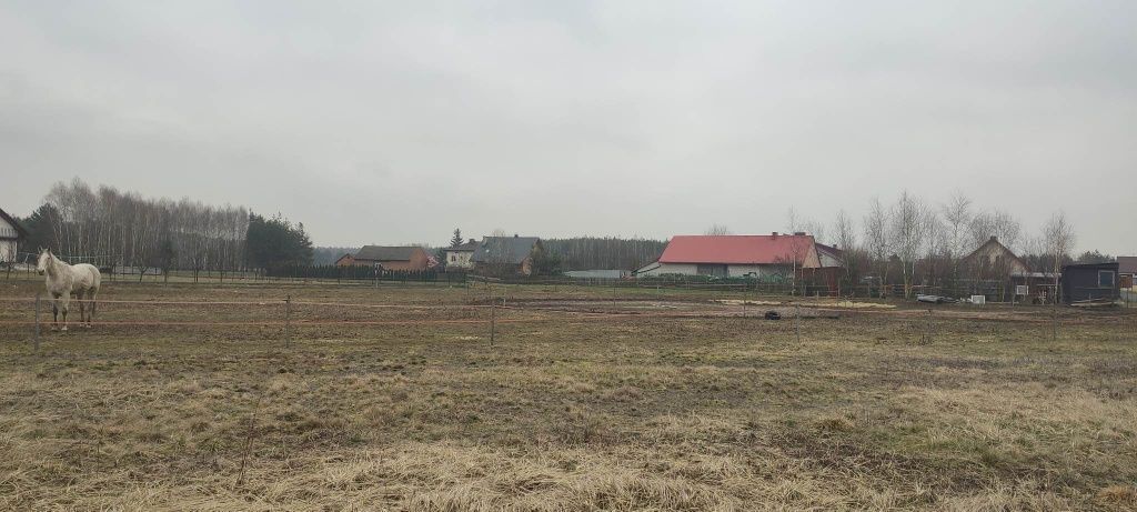 Działka budowlana Furmany. Zdjęcie 4