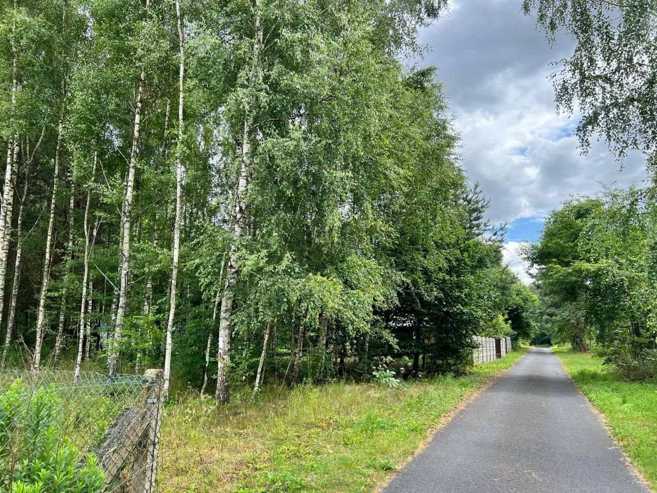 Działka leśna Bukowa. Zdjęcie 10