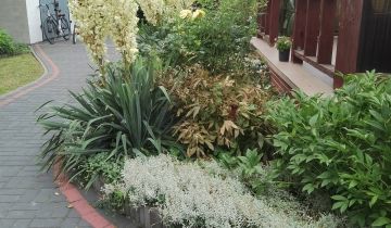 dom wolnostojący, 5 pokoi Żytno, Marii Konopnickiej