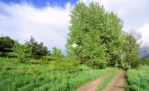 Działka rolna Łapka. Zdjęcie 4