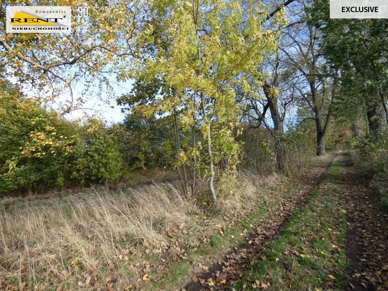 Działka siedliskowa Danowo. Zdjęcie 8