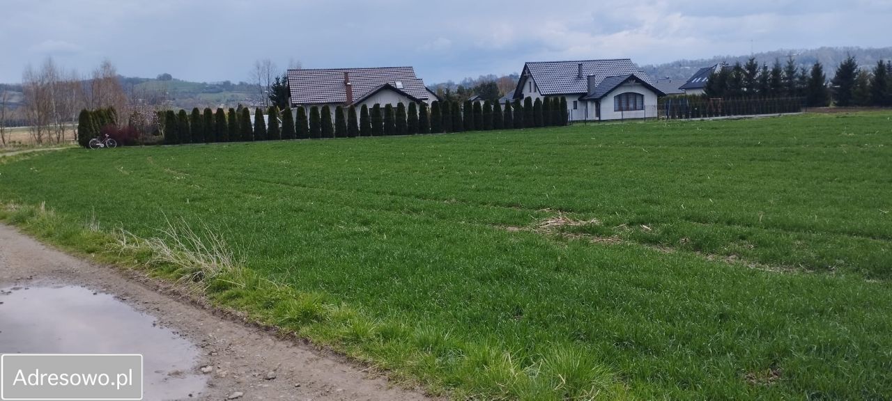 Działka budowlana Nieszkowice Małe. Zdjęcie 2