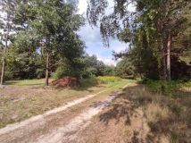 Działka budowlana Izabelin-Dziekanówek, ul. Unijna. Zdjęcie 2