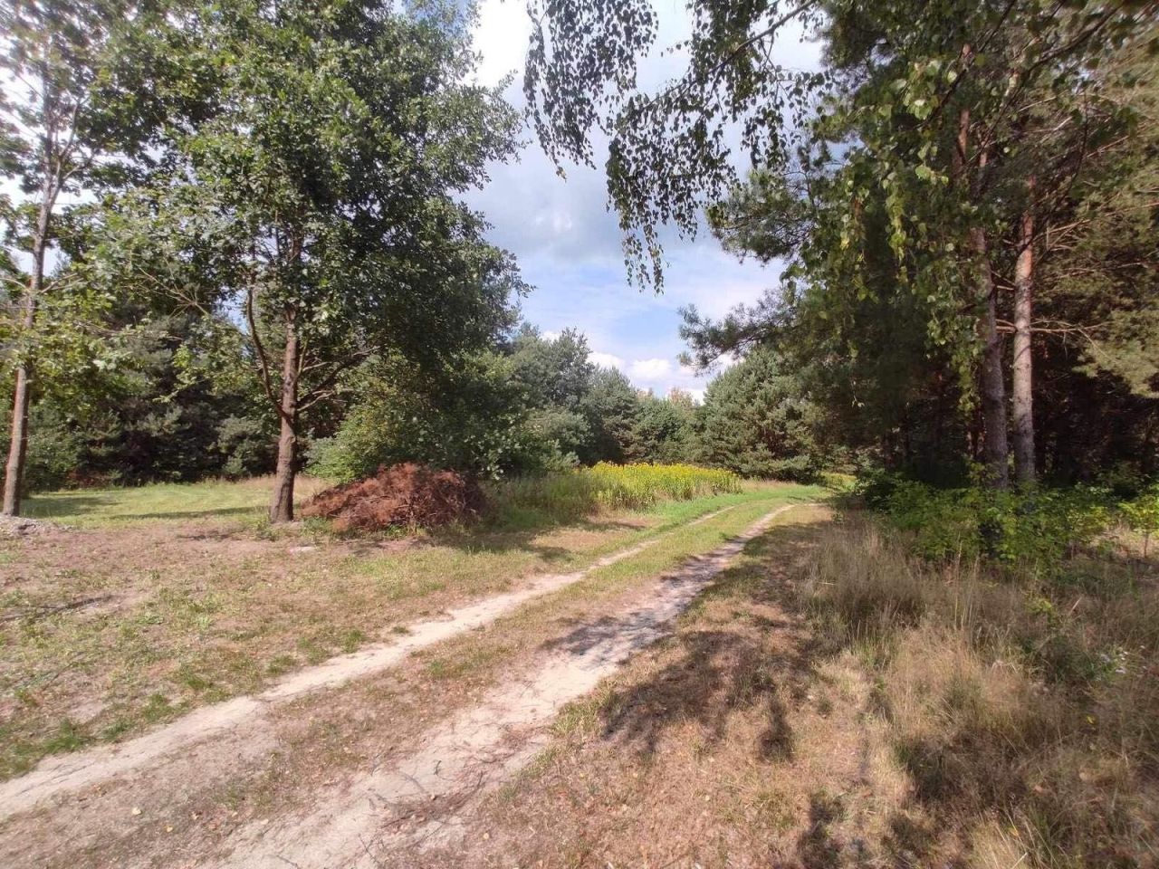 Działka budowlana Izabelin-Dziekanówek, ul. Unijna. Zdjęcie 3