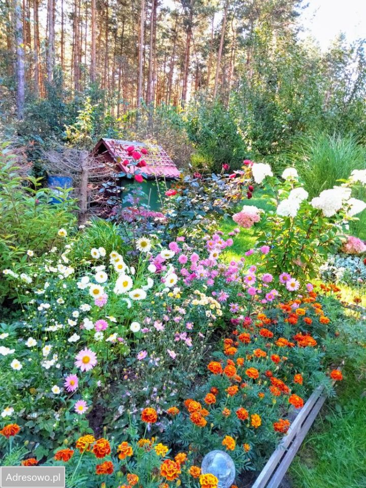 Działka Wólka Husińska. Zdjęcie 6