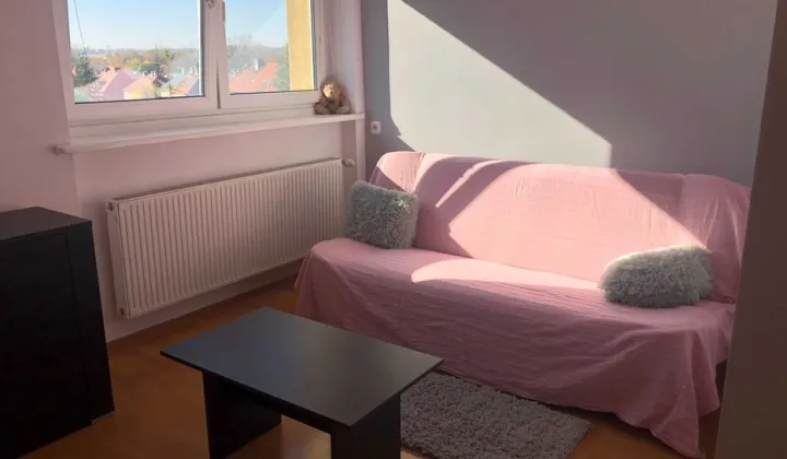 Mieszkanie 1-pokojowe Gliwice Trynek, ul. Adama Mickiewicza