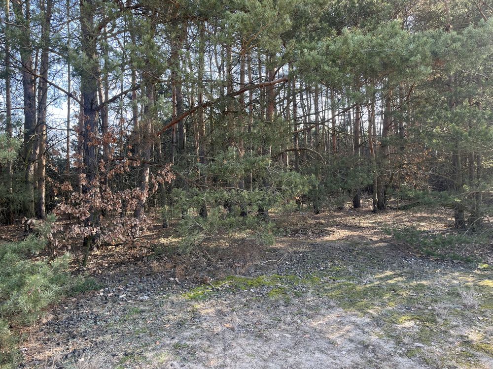 Działka inna Cychrowska Wola. Zdjęcie 5