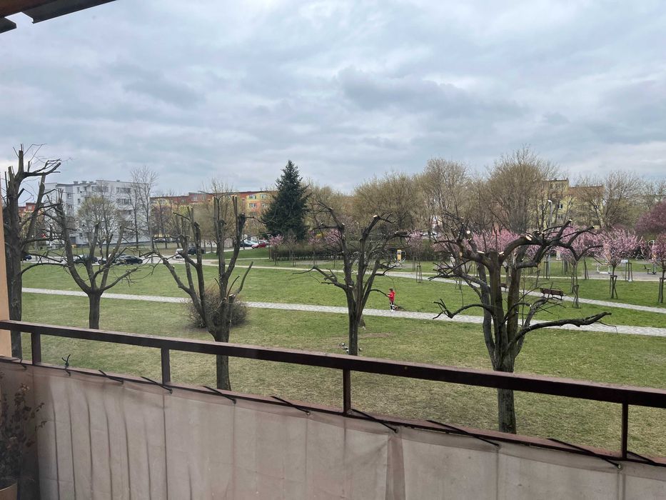 Mieszkanie 3-pokojowe Bełchatów, os. Dolnośląskie. Zdjęcie 2