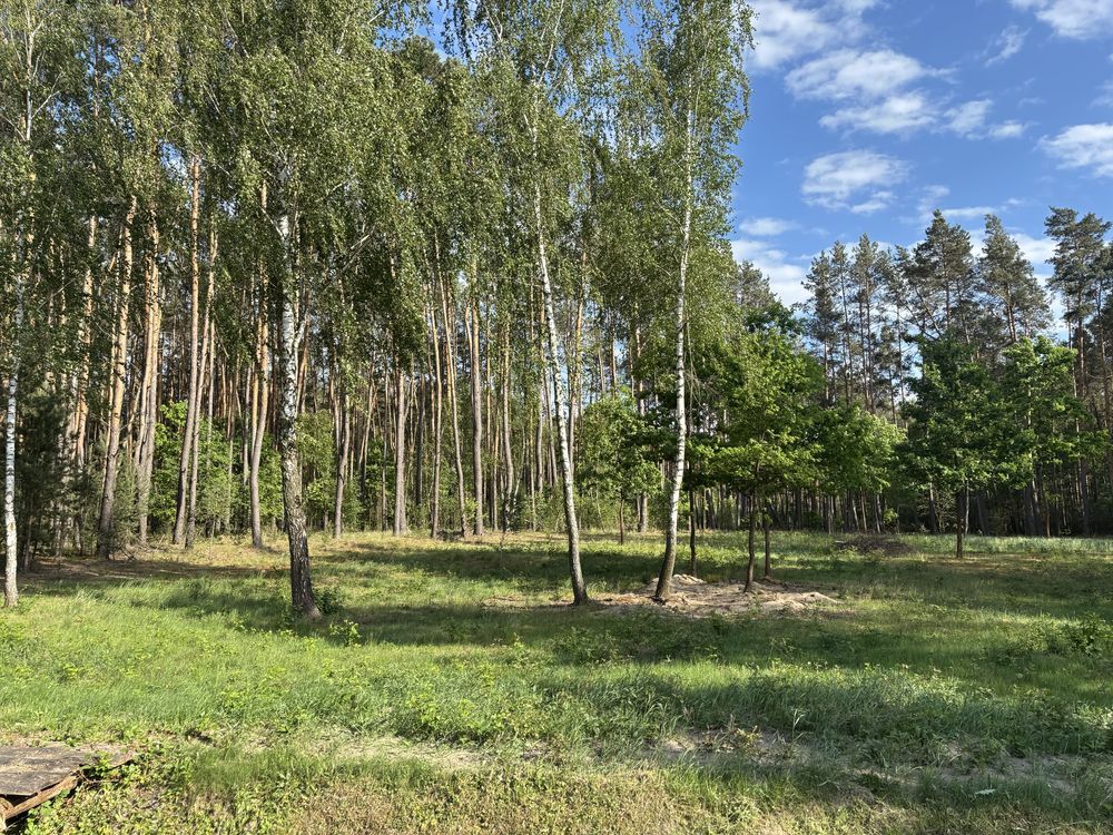 Działka budowlana Polków-Daćbogi. Zdjęcie 6
