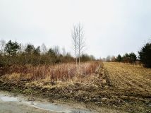 Działka rolna Wygoda. Zdjęcie 1