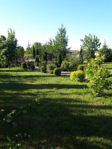 Działka rekreacyjna Częstochowa, ul. Gronowa. Zdjęcie 1