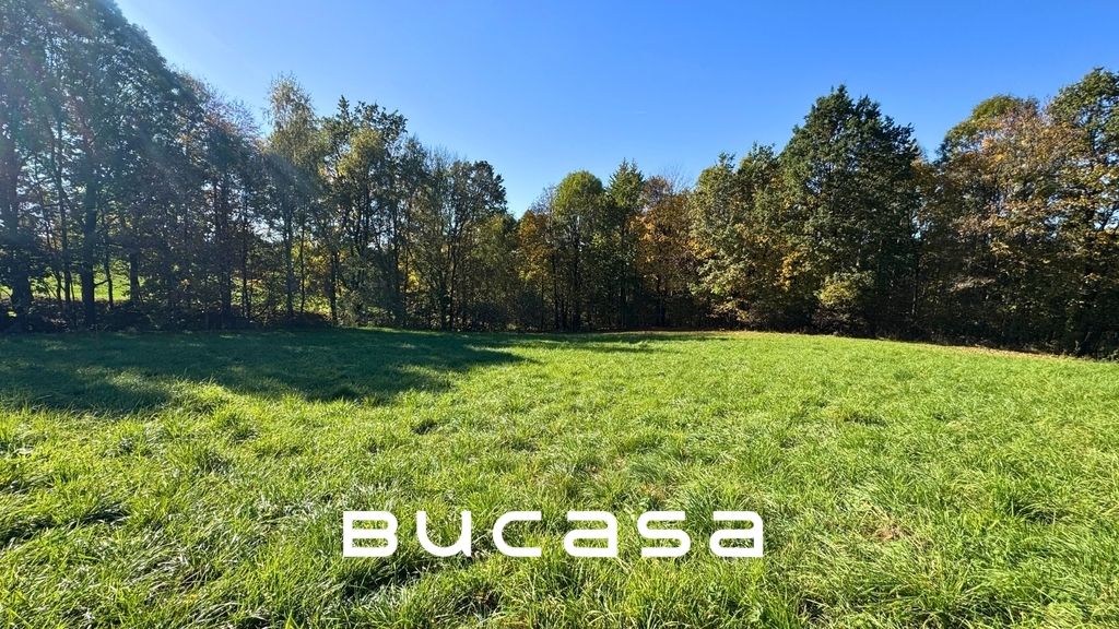 Działka budowlana Gorzków. Zdjęcie 5