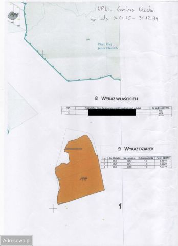 Działka leśna Możne. Zdjęcie 1