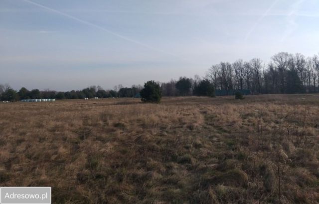 Działka budowlana Księginice. Zdjęcie 1