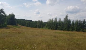 Działka inwestycyjna Lipienice, ul. Podmiejska
