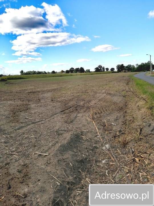 Działka budowlana Kaleń Drugi. Zdjęcie 1