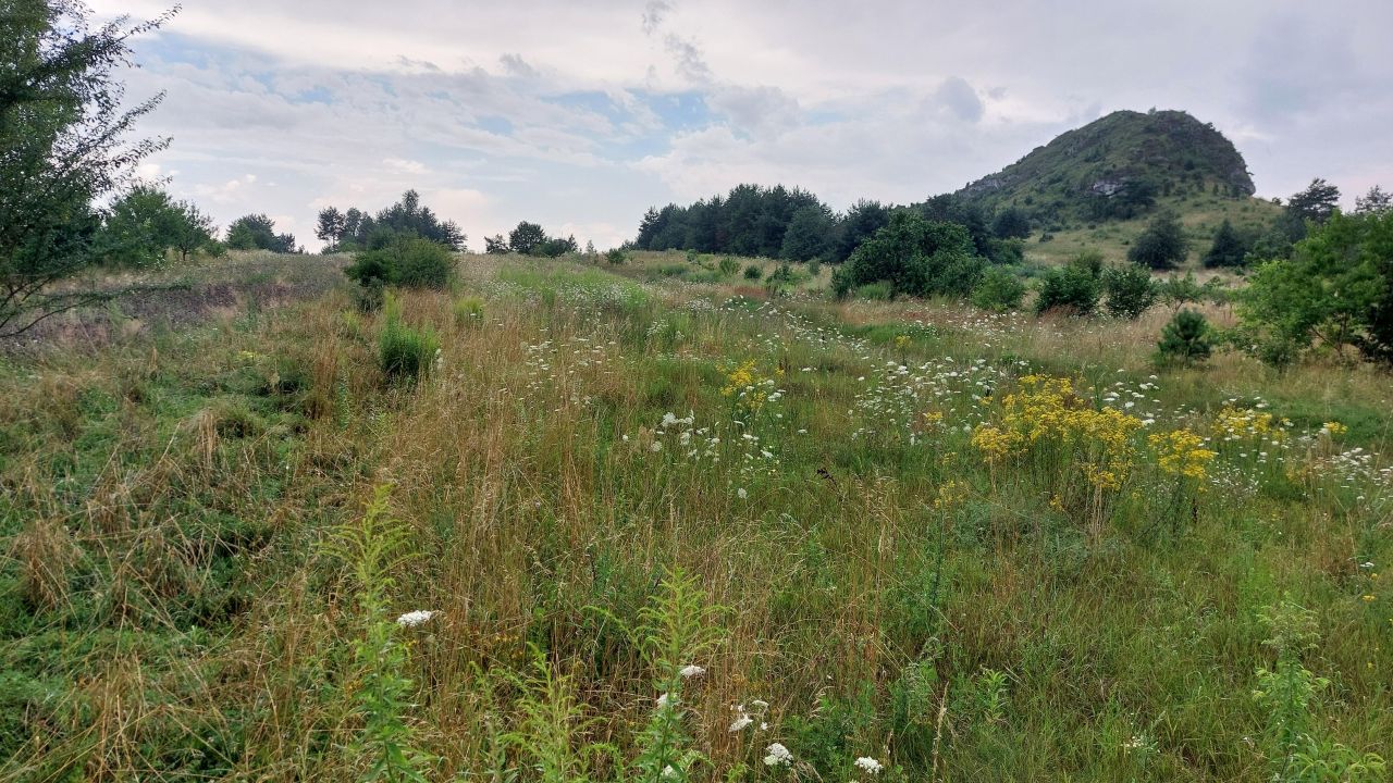 Działka rolna Olsztyn, ul. Botaniczna. Zdjęcie 5