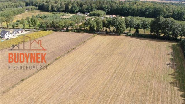 Działka budowlana Niemica. Zdjęcie 8