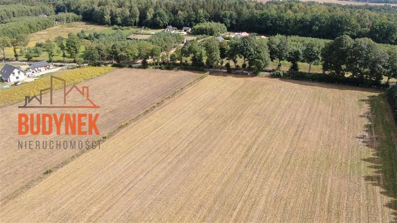 Działka budowlana Niemica. Zdjęcie 8