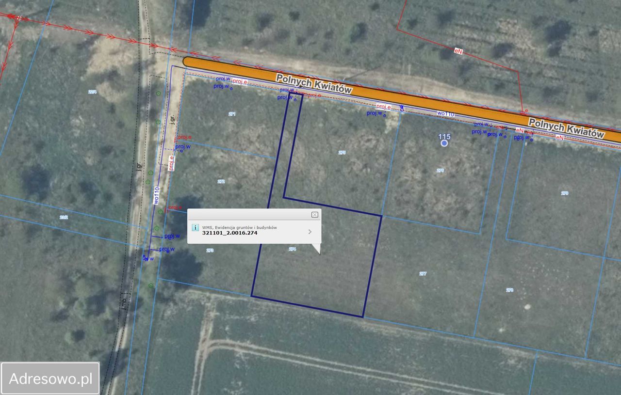 Działka rolna Wąwelnica, ul. Polnych Kwiatów