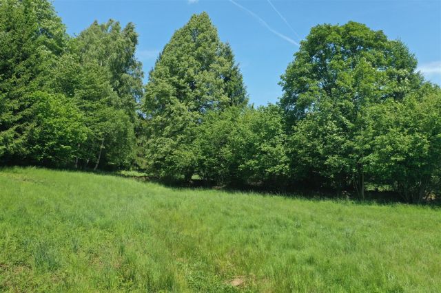 Działka inwestycyjna Szklarska Poręba Szklarska Poręba Górna, ul. Mikołaja Kopernika. Zdjęcie 8