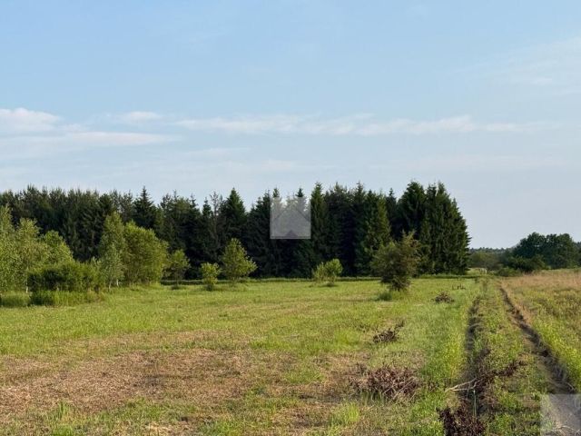 Działka rekreacyjna Radawa, ul. Cienkie. Zdjęcie 1