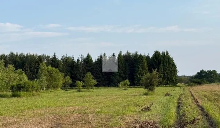 Działka rekreacyjna Radawa, ul. Cienkie