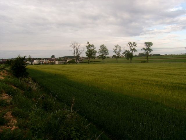 Działka rolno-budowlana Strzelno, ul. Kasztanowa. Zdjęcie 1