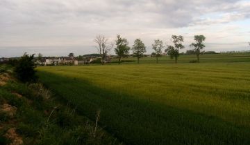 Działka rolno-budowlana Strzelno, ul. Kasztanowa