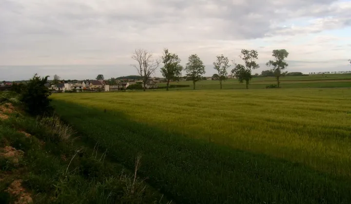 Działka rolno-budowlana Strzelno, ul. Kasztanowa