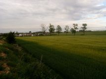 Działka rolno-budowlana Strzelno, ul. Kasztanowa