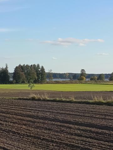 Działka budowlana Niałek Wielki. Zdjęcie 1