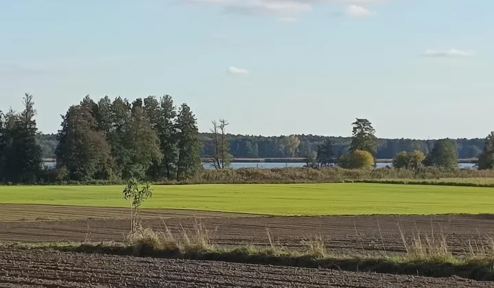 Działka budowlana Niałek Wielki