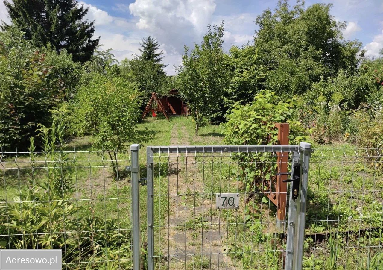 Działka rod Wrocław Tarnogaj, al. Armii Krajowej. Zdjęcie 5