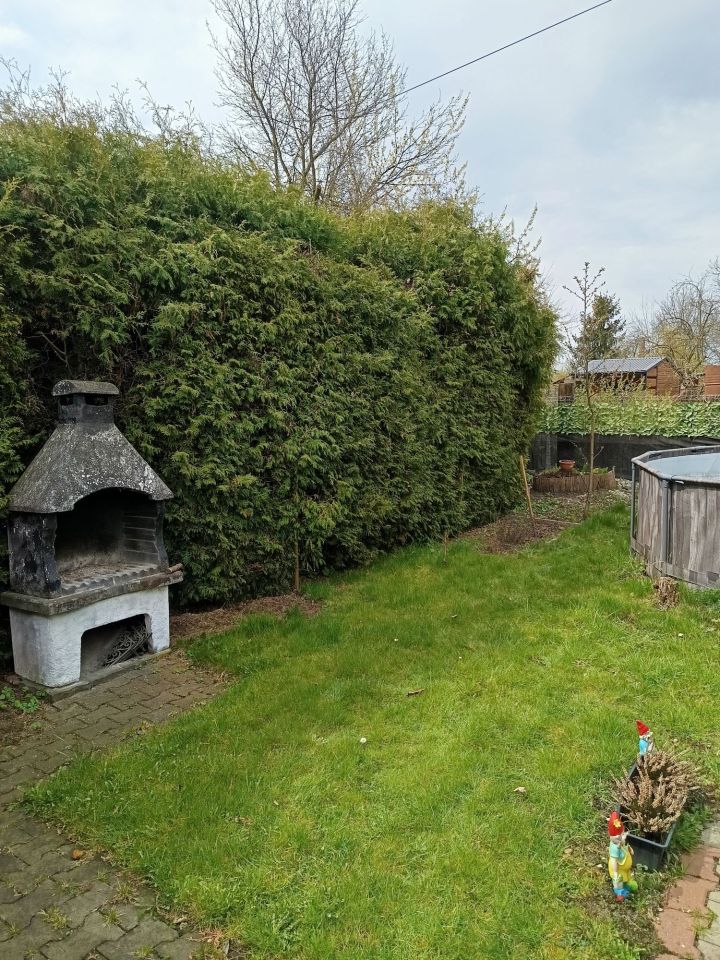 Działka rod Gliwice Sośnica, ul. Sportowa. Zdjęcie 4