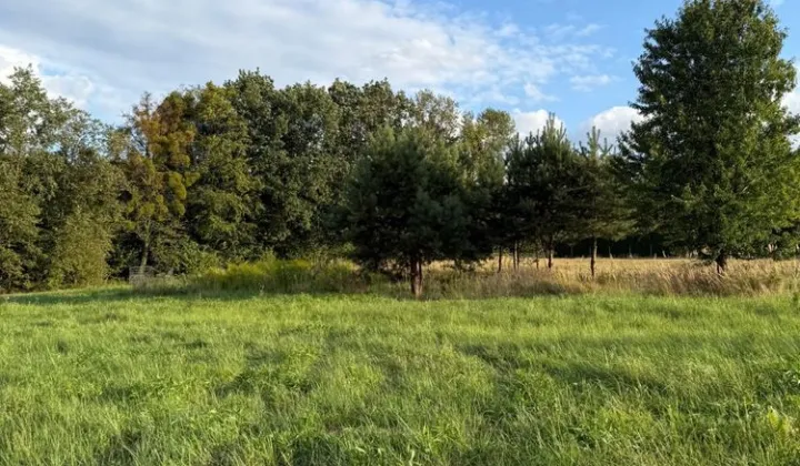 Działka budowlana Janów Lubelski, ul. Adama Mickiewicza