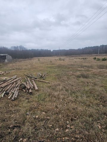 Działka rolna Tłuchowo. Zdjęcie 1