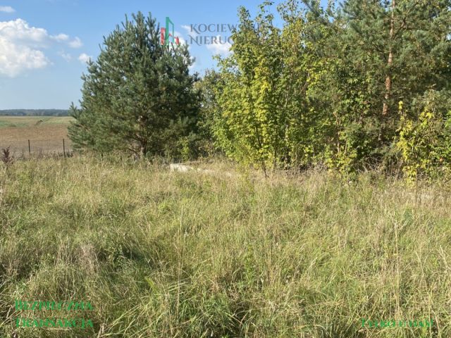 Działka budowlana Krąg. Zdjęcie 5