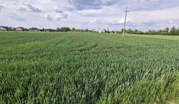 Działka rolna Brzeźnica Wola Brzeźnicka, ul. Południowa