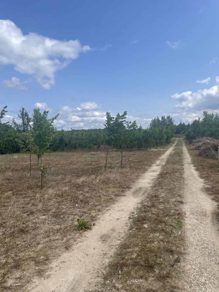 Działka rolna Zdunki. Zdjęcie 3