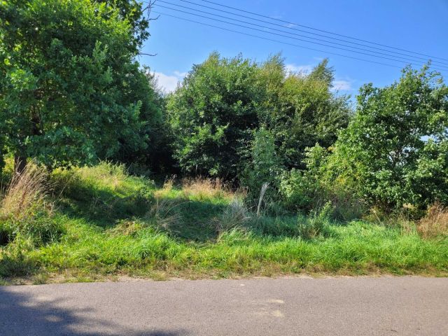 Działka rolna Przystawy. Zdjęcie 1