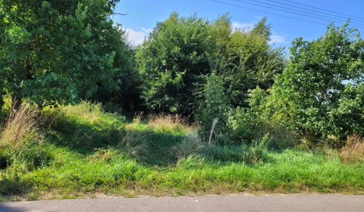 Działka rolna Przystawy